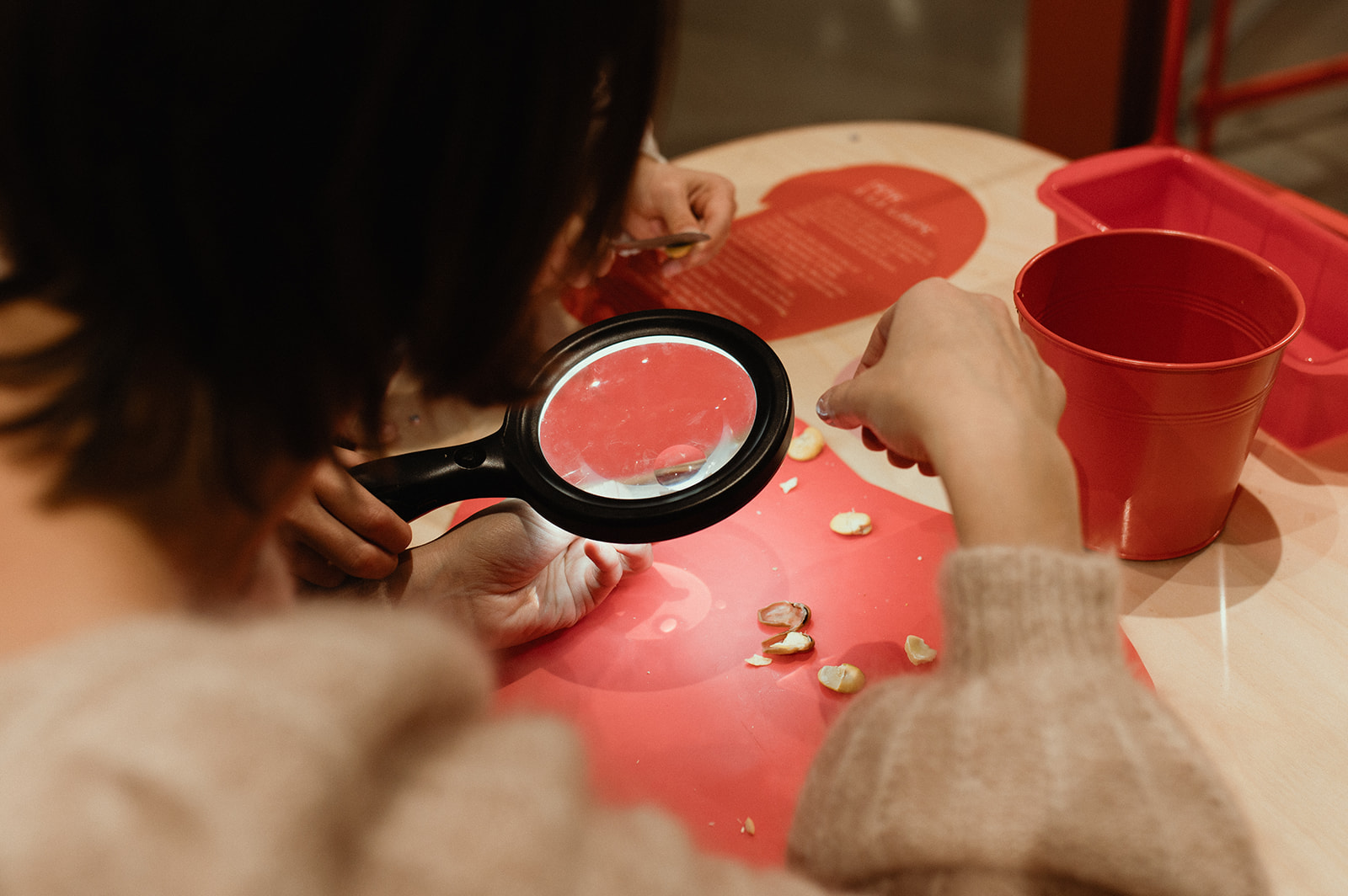 Photo d'une activité ludique de l'exposition avec une loupe